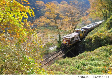 わたらせ渓谷鐵道「森林の黄葉眩い中を行くトロッコわたらせ渓谷号」 わたらせ渓谷鐵道「森林の黄葉眩い中を行くトロッコわたらせ渓谷号」 132945873