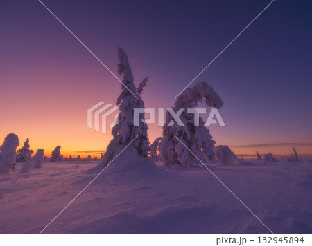 Lapland, Finland. Winter landscape during sunset. Trees covered with snow. Winter wonderland. 132945894