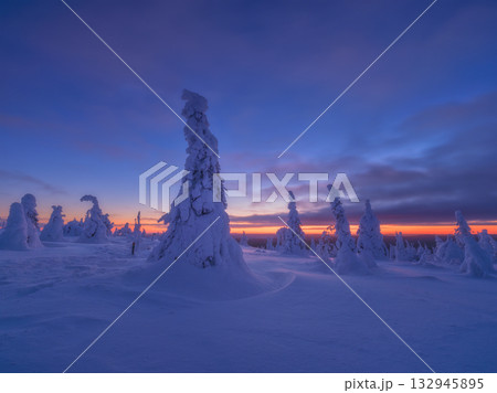 Northern winter landscape during sunset. Trees covered with snow. Winter wonderland. Northern winter landscape during sunset. Trees covered with snow. Winter wonderland. 132945895