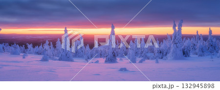 Lapland, Finland. Winter landscape during sunset. North. Trees covered with snow. 132945898