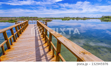 Tablas de Daimiel National Park, Spain Tablas de Daimiel National Park, Spain 132945976