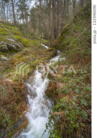 Sierra de Guadarrama National Park, Spain 132946090
