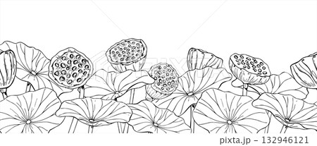 Vector monochrome lotus seedpods among leaves horizontal seamless banner. Tropical aquatic plant pod black and white drawing. Water Lily border for cosmetic, ayurveda products, spa center label 132946121