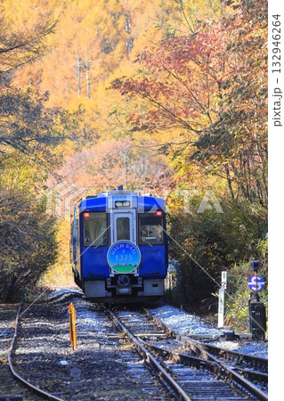 小海線　甲斐大泉駅　紅葉 132946264