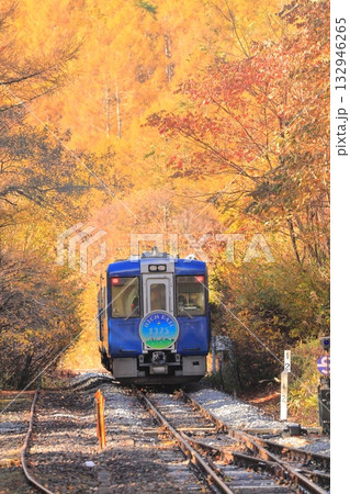 小海線　甲斐大泉駅　紅葉 132946265