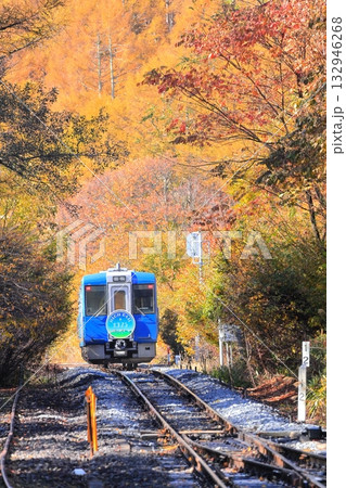 小海線　甲斐大泉駅　紅葉 132946268