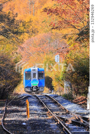小海線　甲斐大泉駅　紅葉 132946269