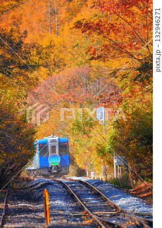 小海線　甲斐大泉駅　紅葉 132946271