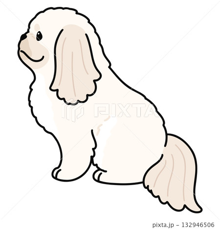 横を向いてお座りするシンプルで可愛い白いペキニーズのイラスト　主線あり 132946506