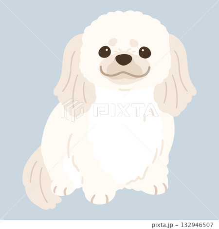 正面を向いてお座りするシンプルで可愛い白いペキニーズのイラスト　主線なし 132946507