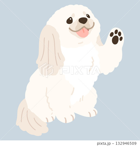 お手をするシンプルで可愛い白いペキニーズのイラスト　主線なし 132946509