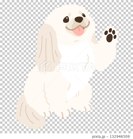 お手をするシンプルで可愛い白いペキニーズのイラスト　主線なし 132946509