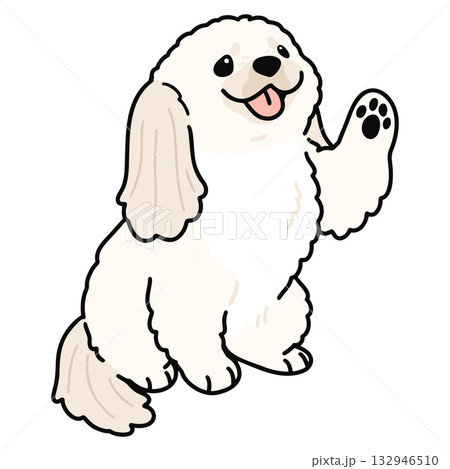 お手をするシンプルで可愛い白いペキニーズのイラスト 主線あり お手をするシンプルで可愛い白いペキニーズのイラスト 主線あり 132946510