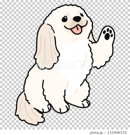 お手をするシンプルで可愛い白いペキニーズのイラスト 主線あり お手をするシンプルで可愛い白いペキニーズのイラスト 主線あり 132946510