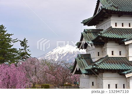 弘前公園　弘前城と岩木山と桜 132947110
