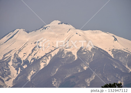 弘前公園からの岩木山 132947112