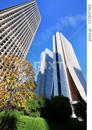 淀橋浄水場跡に建つ高層ビル街… 『新宿副都心』 132947368