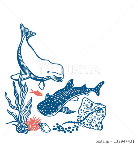 Marine animals. Tiger shark, beluga dolphin, stingray, seaweed and shells. Hand drawn vector line art illustration in blue for posters and banners. Perfect for travel postcards. 132947431