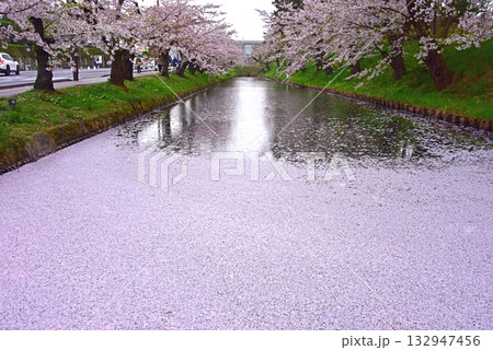 弘前公園の桜と花筏の美しさ 弘前公園の桜と花筏の美しさ 132947456