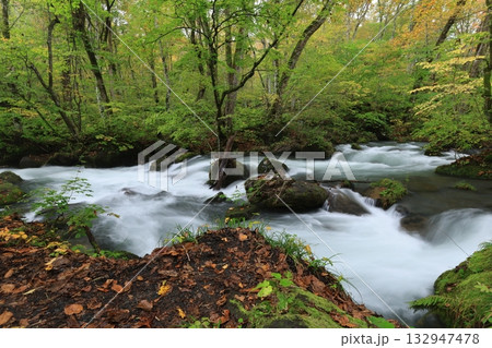 阿修羅の流れ 阿修羅の流れ 132947478