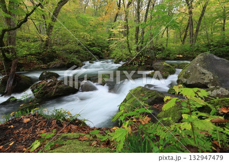 阿修羅の流れ 阿修羅の流れ 132947479