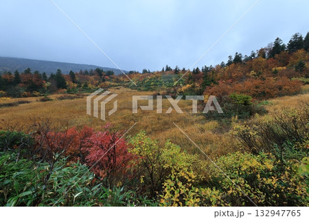 八甲田山 八甲田山 132947765