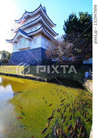 のぼうの城の舞台となった『忍の浮き城』… 行田【忍城】御三階櫓 132947999