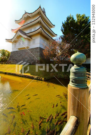 のぼうの城の舞台となった『忍の浮き城』… 行田【忍城】御三階櫓 132948000