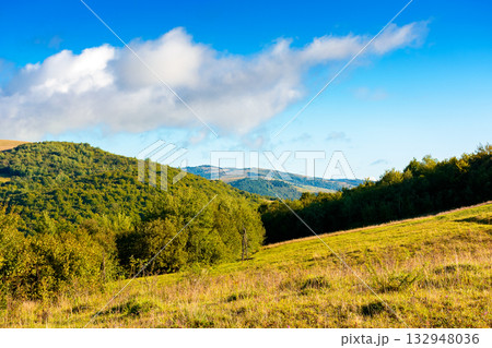 sunny autumn day in mountains. beautiful view of carpathian rural landscape of ukraine. forest and grassy meadow on the hillside. distant ridge in the beneath a blue sky with clouds sunny autumn day in mountains. beautiful view of carpathian rural landscape of ukraine. forest and grassy meadow on the hillside. distant ridge in the beneath a blue sky with clouds 132948036