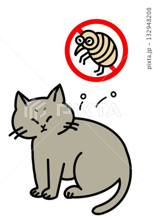 猫とノミ 猫とノミ 132948208
