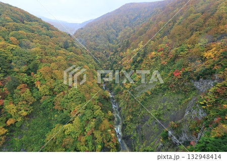 城ヶ倉溪谷 132948414