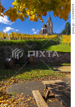 Autumn vineyard landscape with ancient church and wine press 132948434