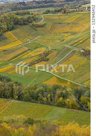 Autumn vineyard landscape in Chateau Chalon, Jura, France 132948452
