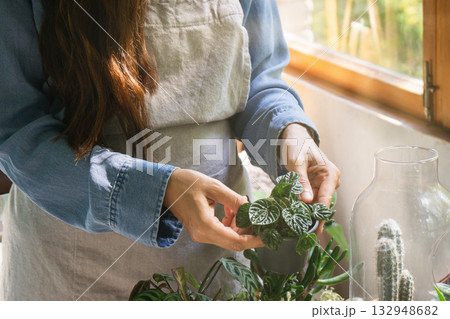 Caring for green plants in a sustainable greenhouse environment 132948682