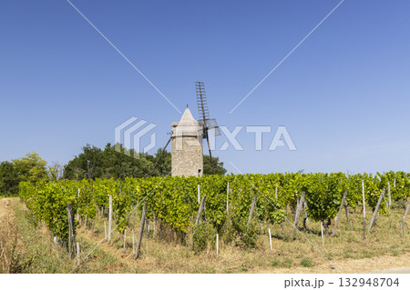 Traditional windmill standing among vineyards under blue sky in Montagne 132948704