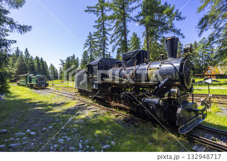 Historical steam and diesel locomotives in Pribylina forest 132948717