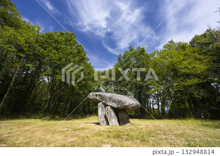 Ancient dolmen de la Pierre Levee in Nouvelle Aquitaine, France 132948814