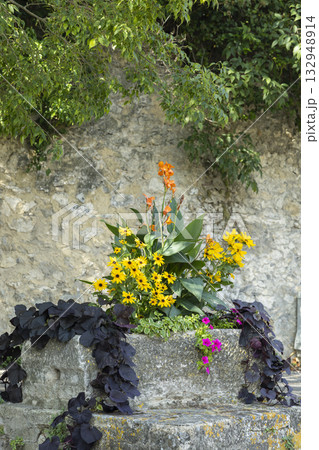 Blooming flowers in stone planter against old wall Blooming flowers in stone planter against old wall 132948914