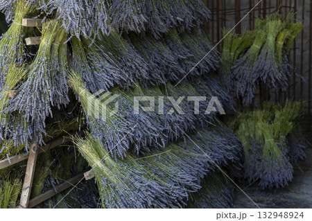 Bundles of drying lavender on racks at Mevouillon, France Bundles of drying lavender on racks at Mevouillon, France 132948924