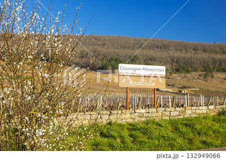 Chassagne Montrachet Vins de Bourgogne road sign and vineyards 132949066