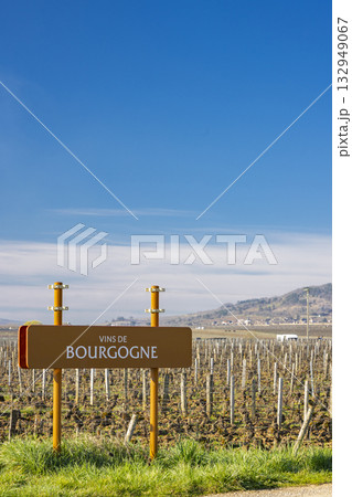 Vins de Bourgogne sign in Meursault vineyard 132949067