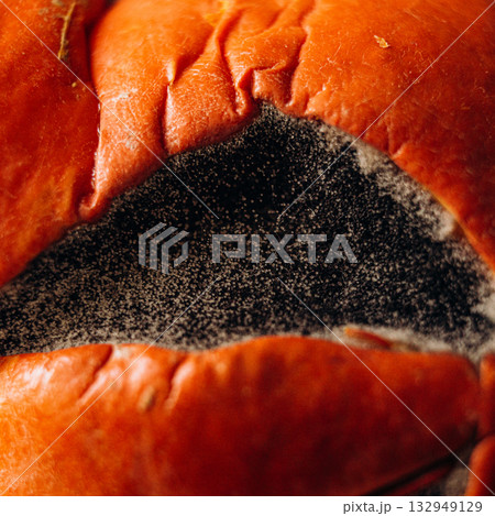 Close-up of mold with fibers and spores growing on pumpkin 132949129