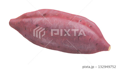 焼き芋に適したサツマイモ　 132949752