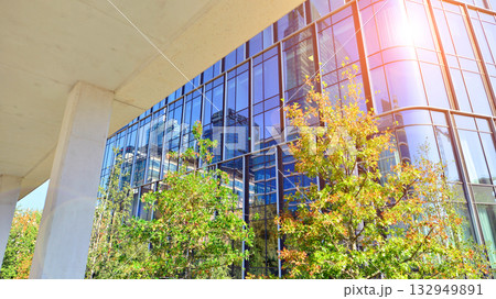 Modern luxury office building.The structure features a glass and concrete walls, showcasing contemporary architecture. The green surroundings of office buildings. Trees and shrubs in the city. Modern luxury office building.The structure features a glass and concrete walls, showcasing contemporary architecture. The green surroundings of office buildings. Trees and shrubs in the city. 132949891