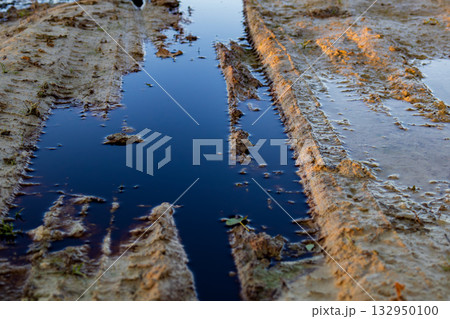 Standing water filled with pollution flows through tire tracks in sandy terrain, showing the harmful impact of waste and neglect on the ecosystem 132950100
