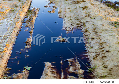 Water collects in tire tracks, reflecting pollution and waste from nearby environments and highlighting the damage to local ecosystems 132950101