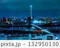 11月のスカイツリーの夜景 132950130