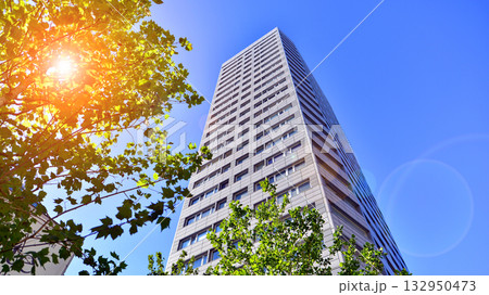 Modern luxury office building.The structure features a glass and concrete walls, showcasing contemporary architecture. The green surroundings of office buildings. Trees and shrubs in the city. Modern luxury office building.The structure features a glass and concrete walls, showcasing contemporary architecture. The green surroundings of office buildings. Trees and shrubs in the city. 132950473