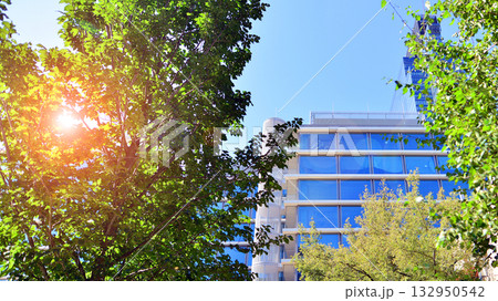 Modern luxury office building.The structure features a glass and concrete walls, showcasing contemporary architecture. The green surroundings of office buildings. Trees and shrubs in the city. Modern luxury office building.The structure features a glass and concrete walls, showcasing contemporary architecture. The green surroundings of office buildings. Trees and shrubs in the city. 132950542