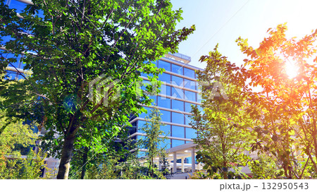 Modern luxury office building.The structure features a glass and concrete walls, showcasing contemporary architecture. The green surroundings of office buildings. Trees and shrubs in the city. Modern luxury office building.The structure features a glass and concrete walls, showcasing contemporary architecture. The green surroundings of office buildings. Trees and shrubs in the city. 132950543